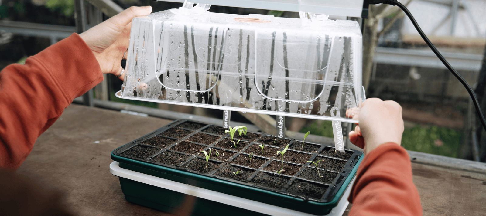 Propagator met groeilampen