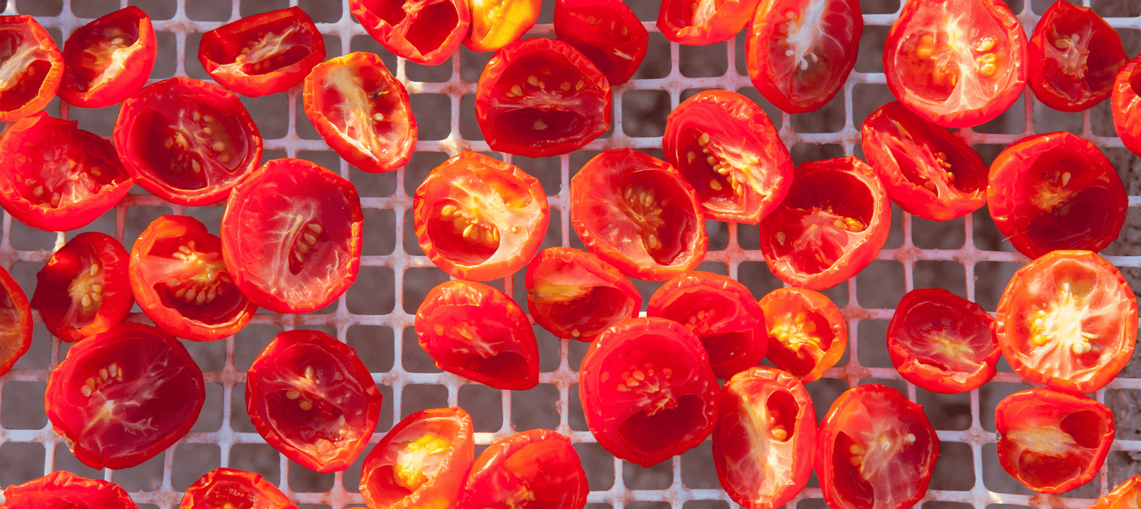 Zongedroogde tomaatjes