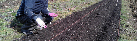 Moestuin kalender maart