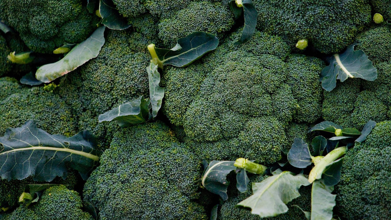 Broccoli zaden