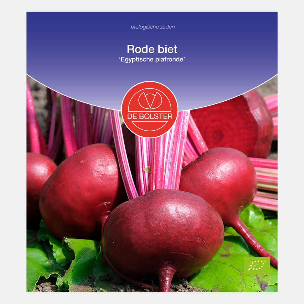 Red beet 'Egyptian flat round' BIO