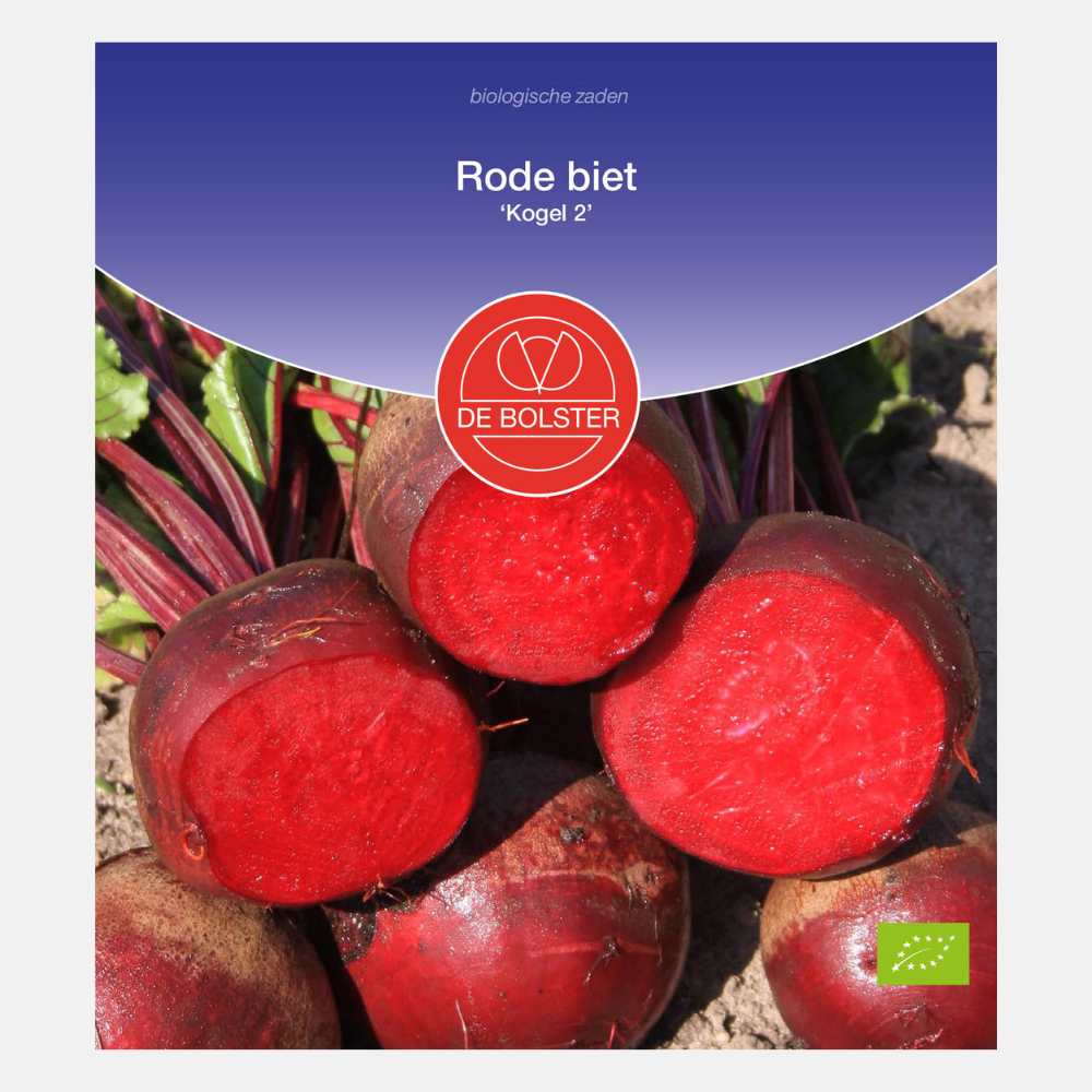 Red beetroot Ball 'Ball 2' BIO