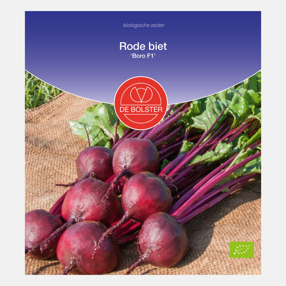 Red beet 'Boro F1' BIO