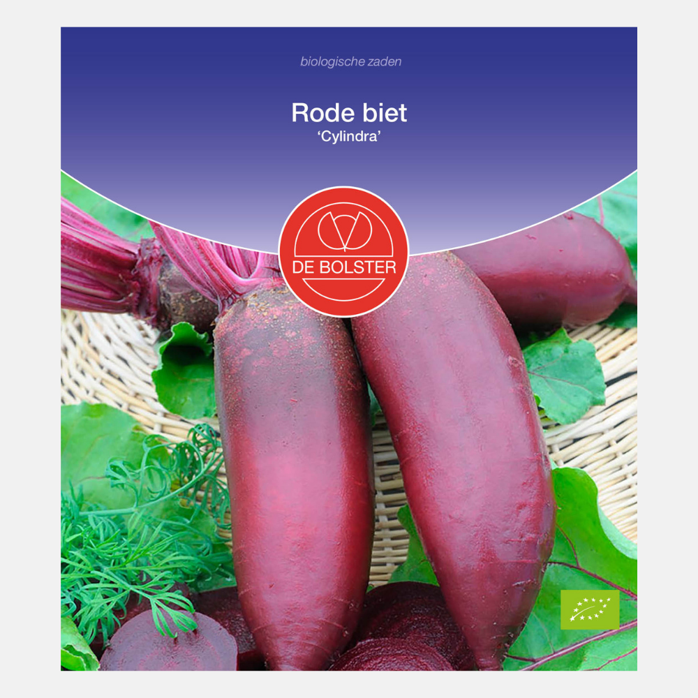 Red beet 'Cylindra' BIO