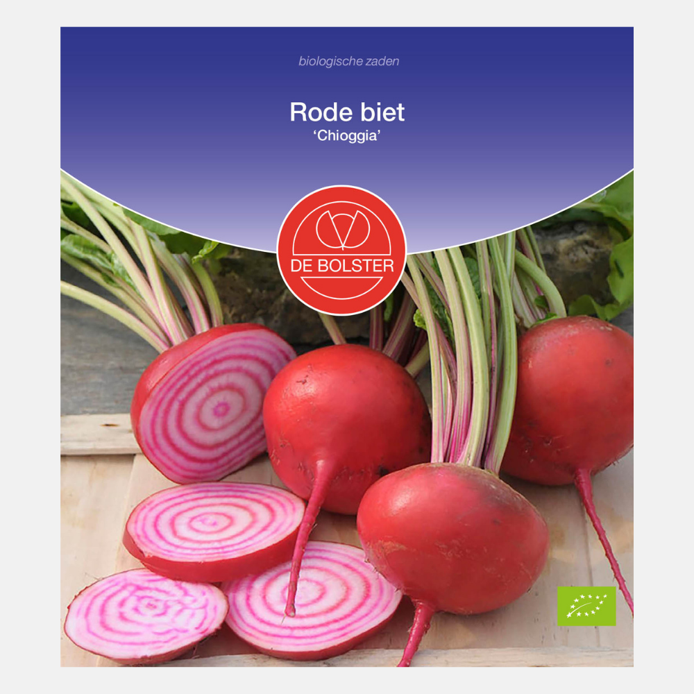 Red beet 'Chioggia' BIO