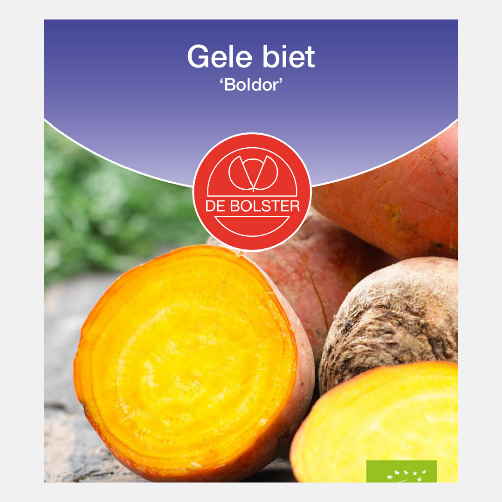 Yellow beet 'Boldor' BIO