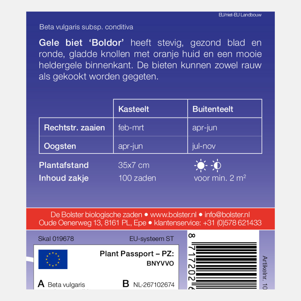 Yellow beet 'Boldor' BIO