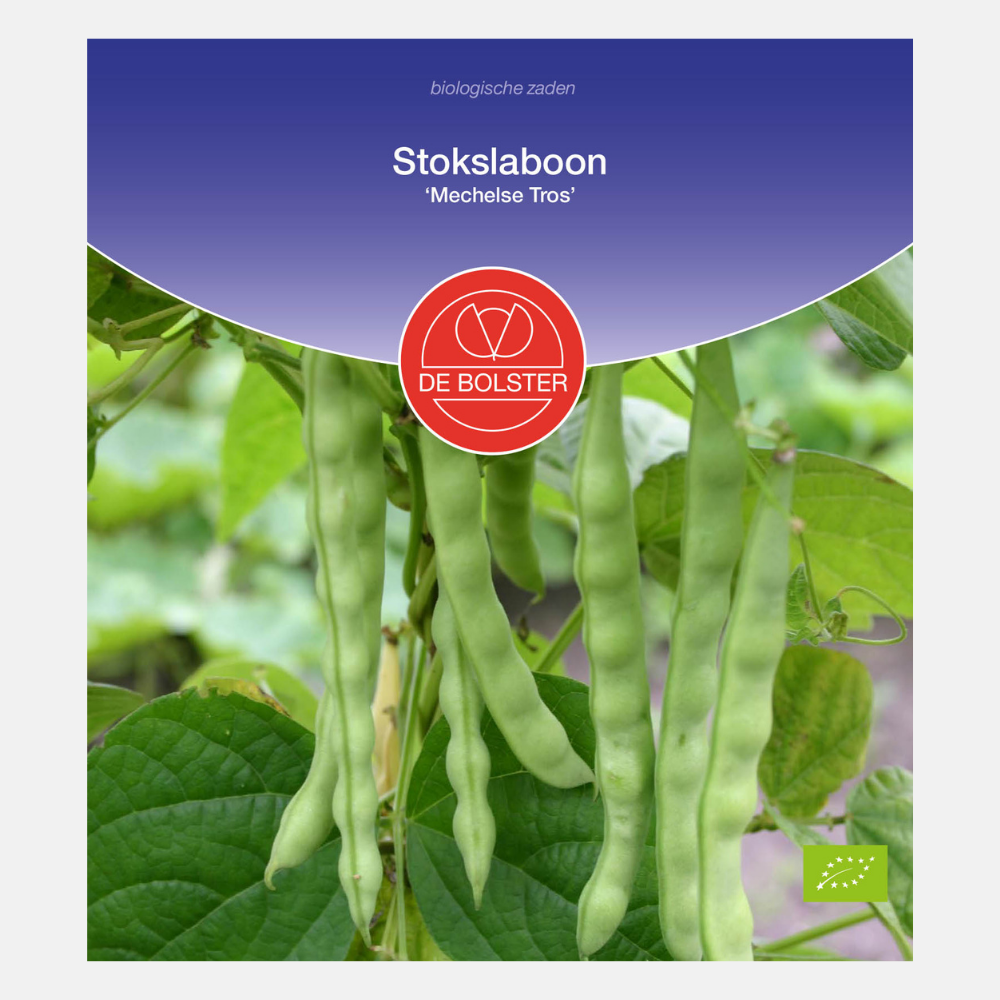 Runner bean 'Mechelse Tros' BIO