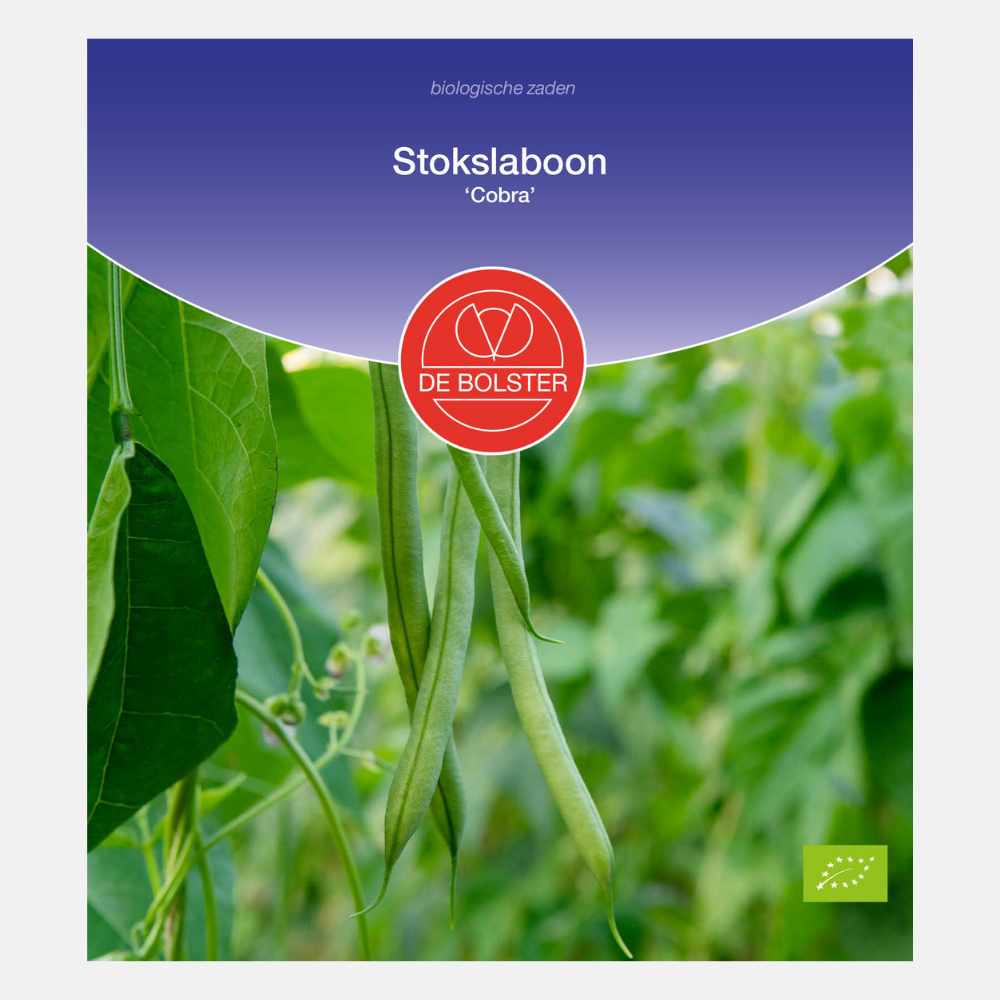 Bâtonnet de haricot vert 'Cobra' BIO