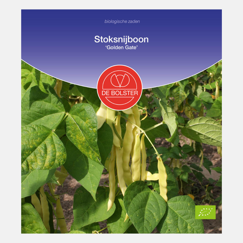 Pole bean 'Golden Gate' BIO