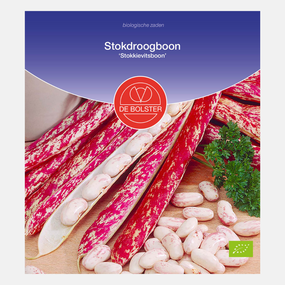 Stick-dry bean 'Stokkievitsboon' BIO