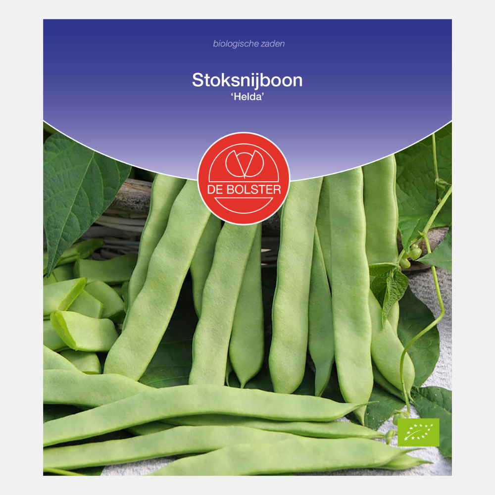 Pole bean 'Helda' BIO