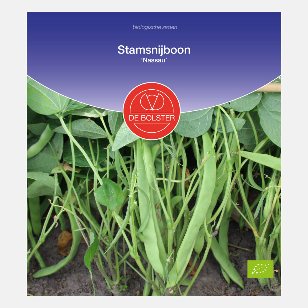 Runner bean 'Nassau' BIO