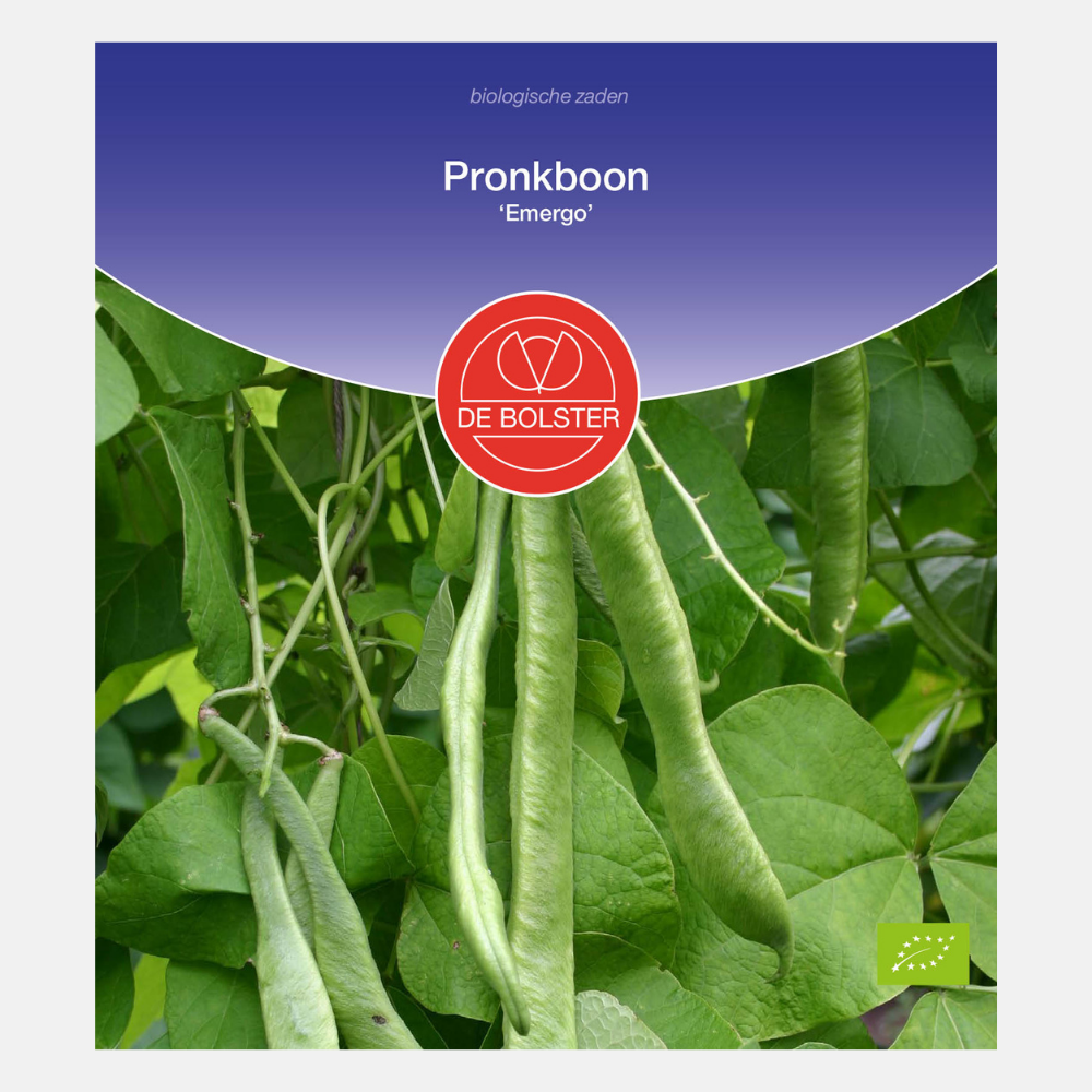 Runner bean 'Emergo' BIO