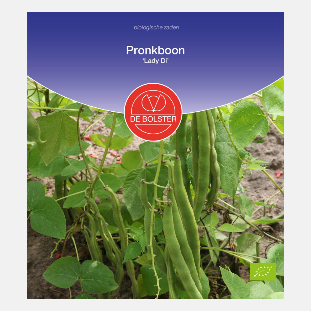 Runner bean 'Lady Di' BIO