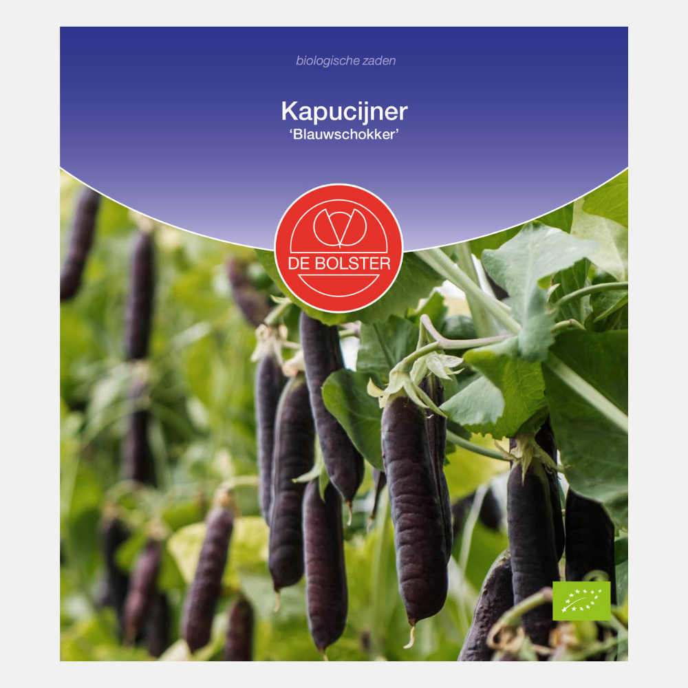 Capucin 'Blauwschokker' BIO