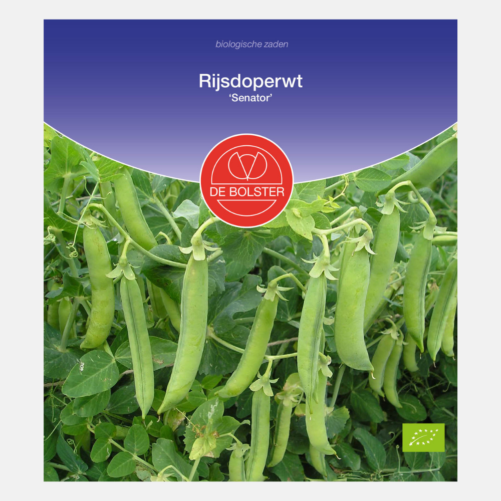 Rice pea 'Senator' BIO