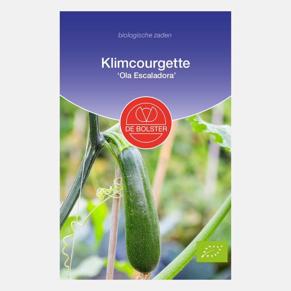 Climbing zucchini 'Ola Escaladora' BIO