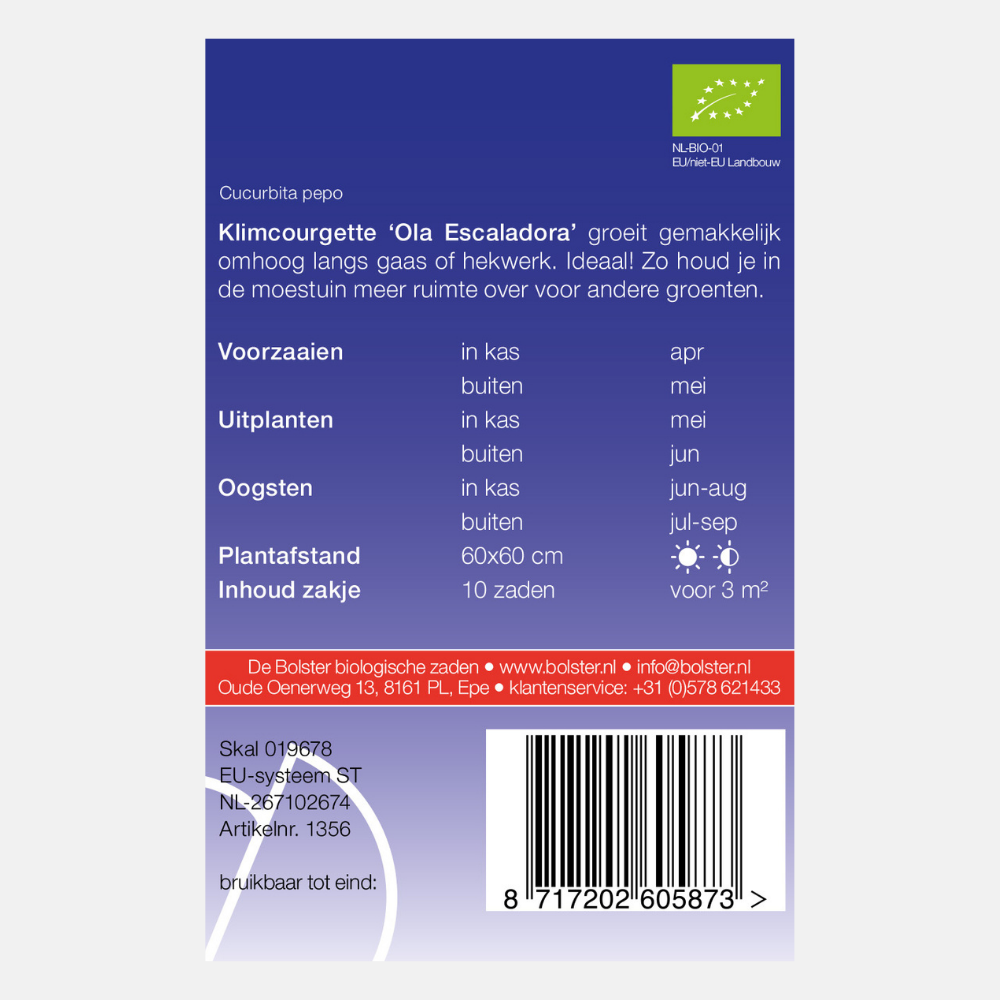 Climbing zucchini 'Ola Escaladora' BIO