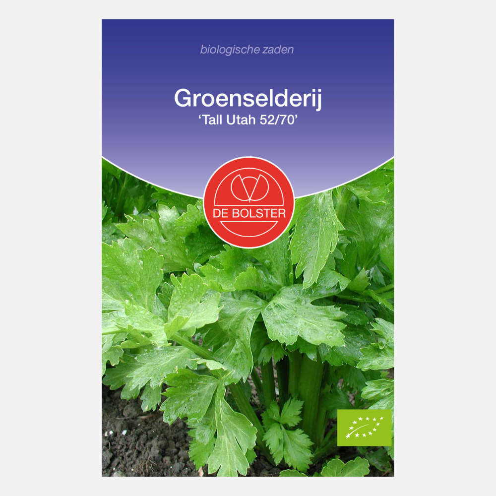 Celery 'Tall Utah 52/70' BIO