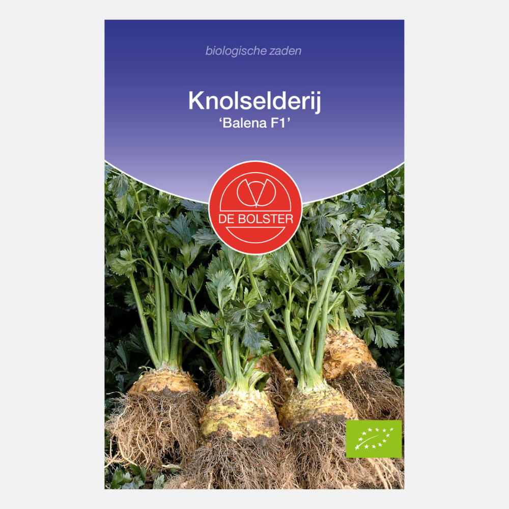 Celeriac 'Balena F1' BIO