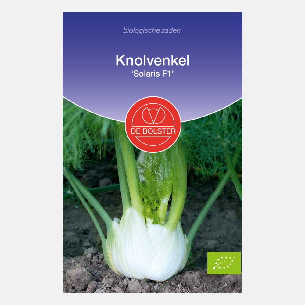 Fennel 'Solaris F1' BIO