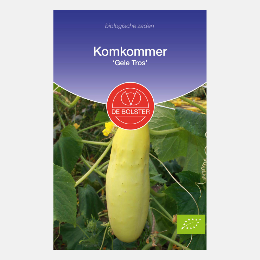 Cucumber 'Yellow Bunch' BIO