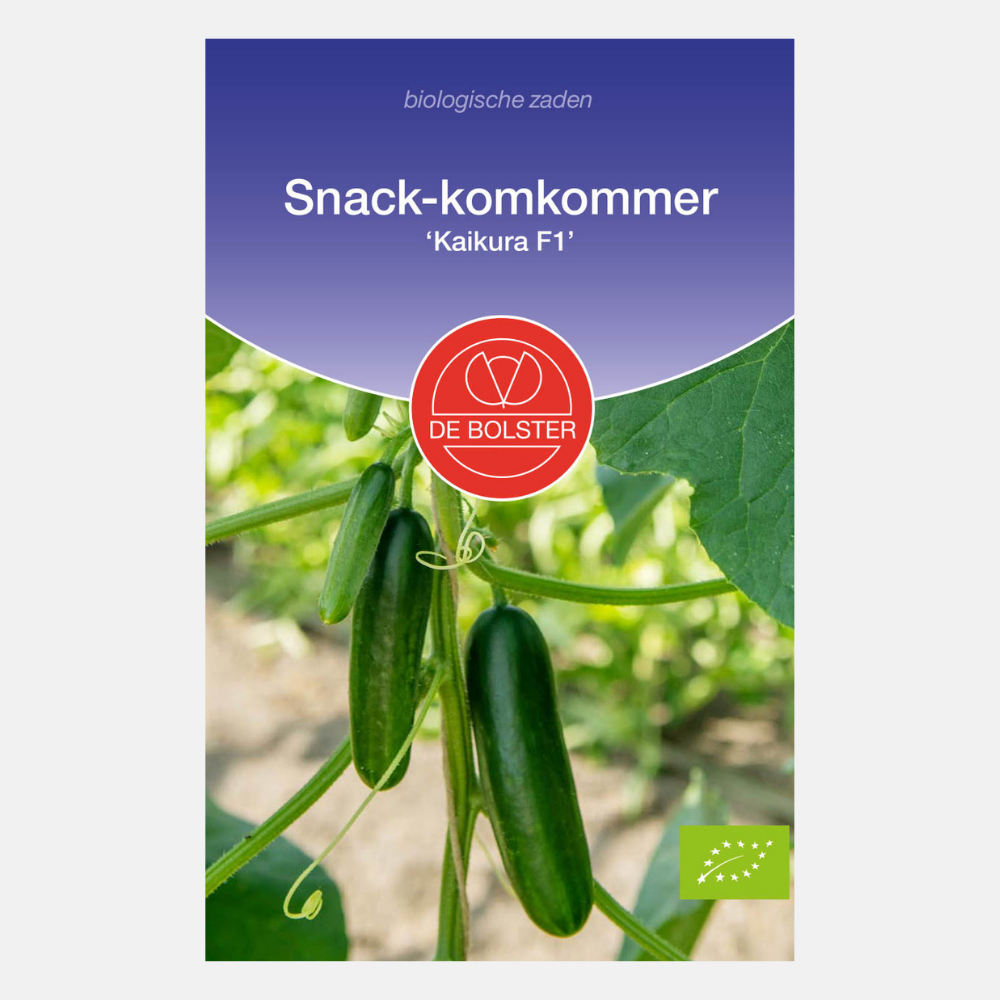 Snack cucumber 'Kaikura F1' BIO