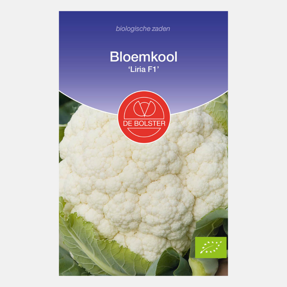 Bloemkool 'Liria F1' BIO