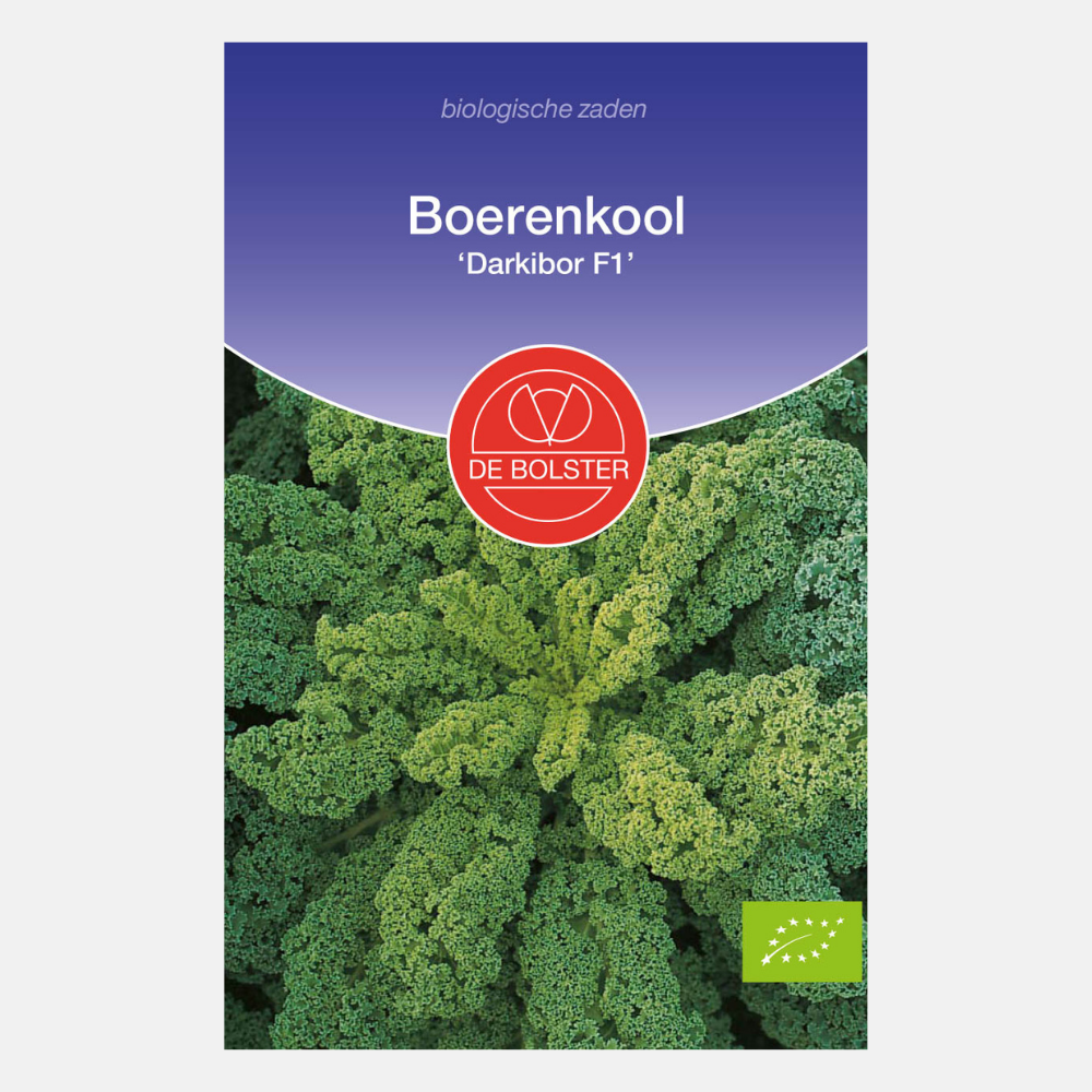 Chou frisé 'Darkibor F1' BIO