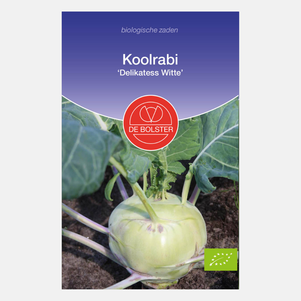 Chou-rave 'Delikatess Blanc' BIO