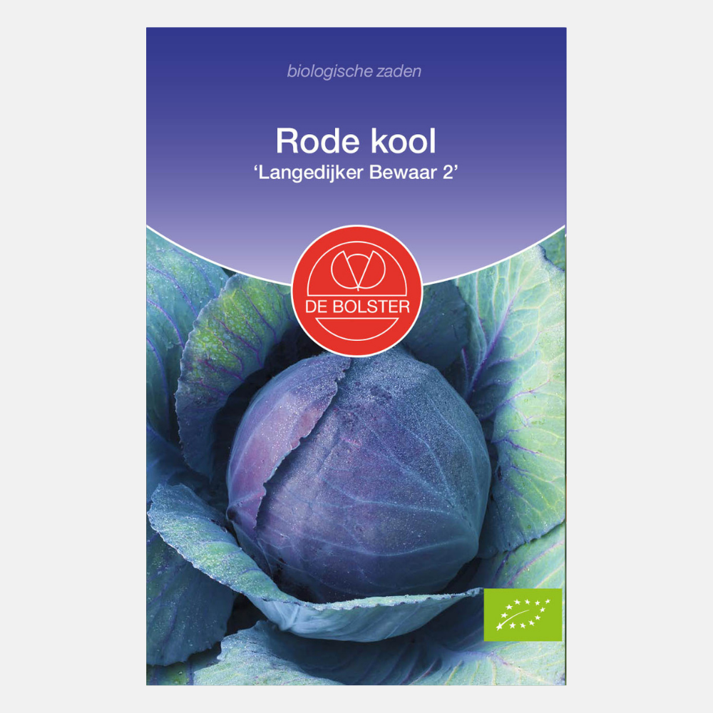 Red cabbage 'Langedijker Bewaar 2' BIO