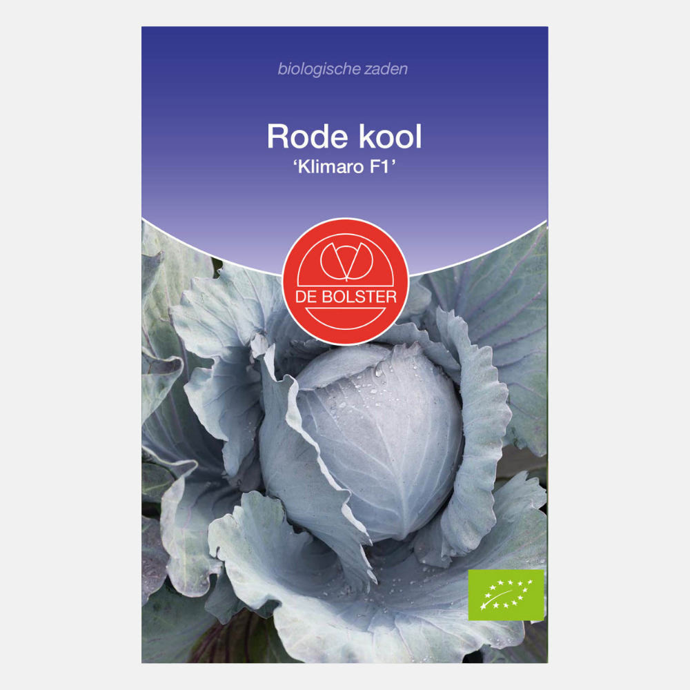 Red cabbage 'Klimaro F1' BIO