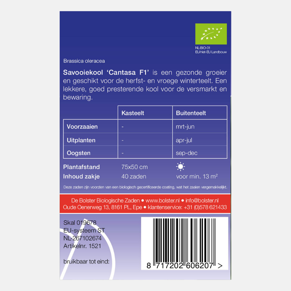Savoy cabbage 'Cantasa F1' BIO