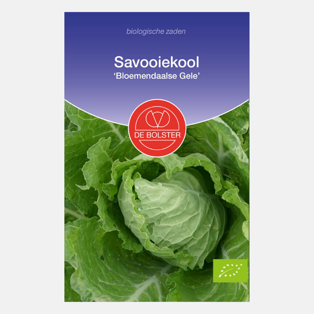 Savoy cabbage 'Bloemendaalse Gele' BIO