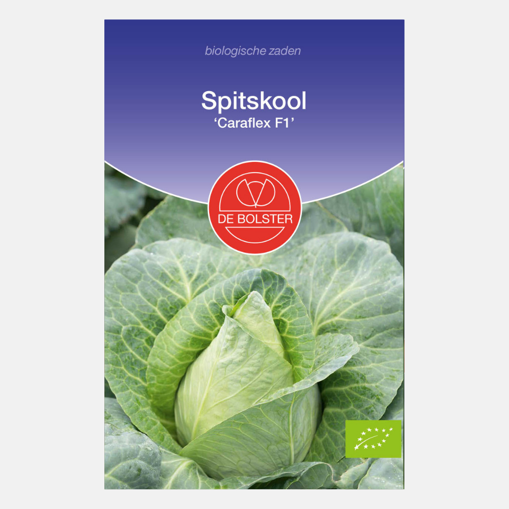 Pointed cabbage 'Caraflex F1' BIO
