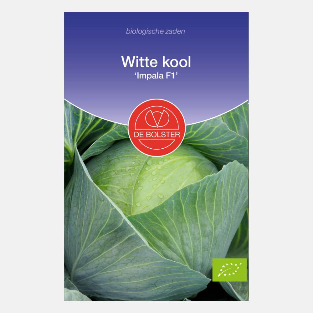 Chou blanc 'Impala F1' BIO