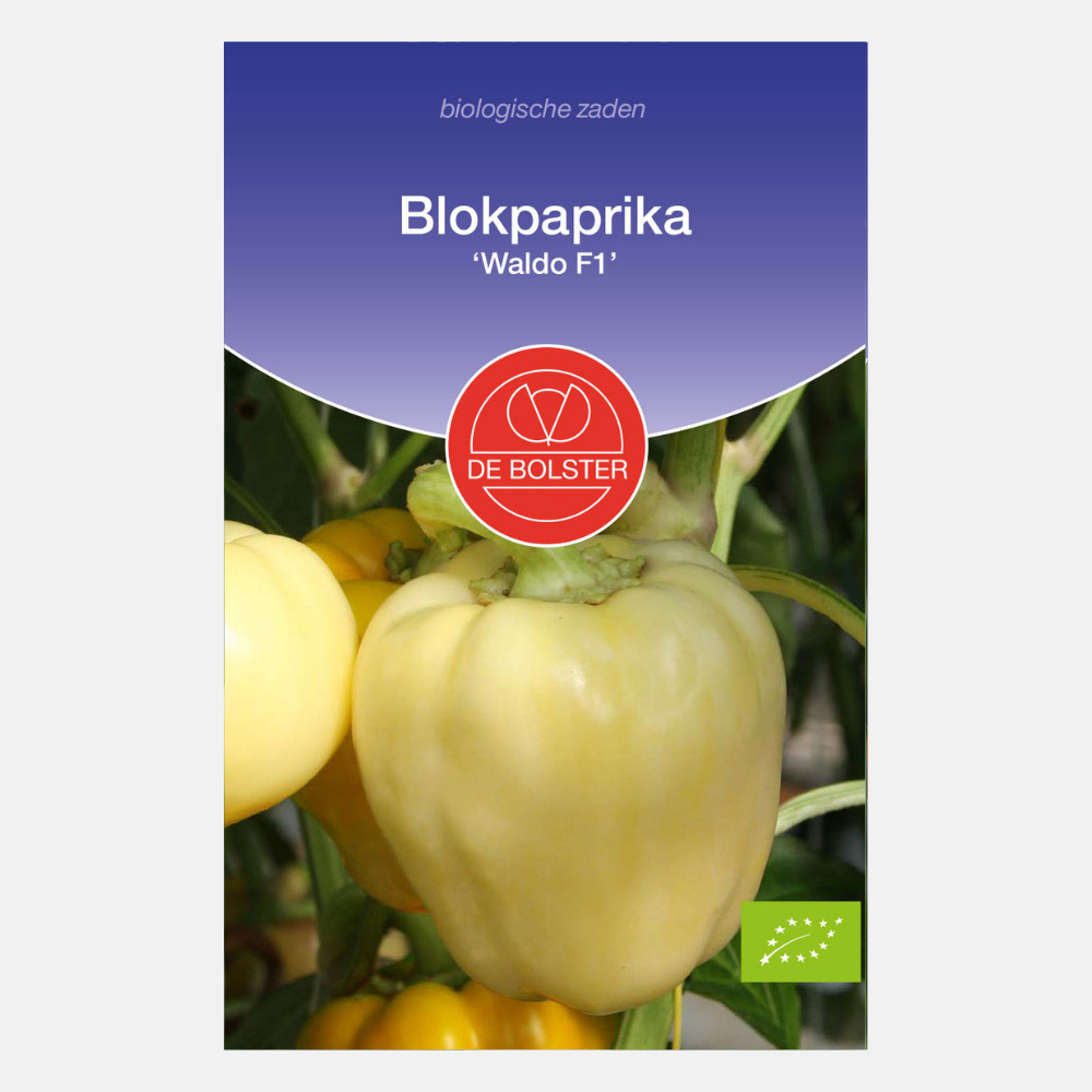 Blokpaprika 'Waldo F1' BIO