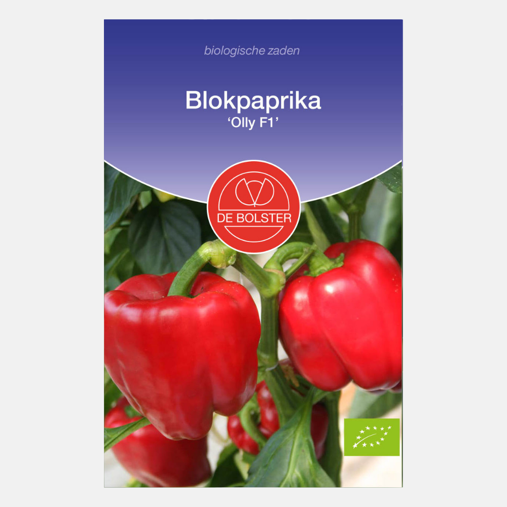 Blokpaprika 'Olly F1' BIO