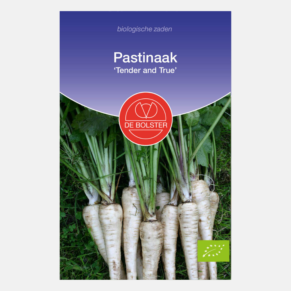 Parsnip 'Tender and True' BIO