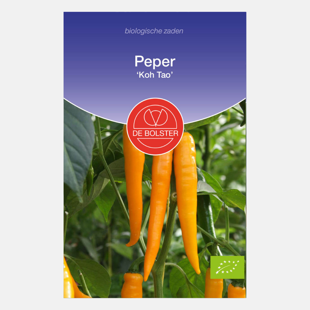 Poivre 'Koh Tao' BIO