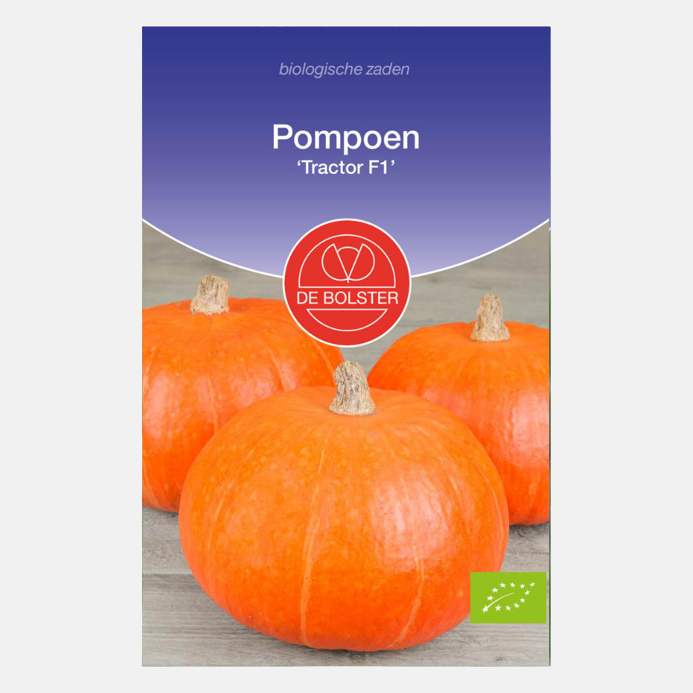 Pompoen 'Tractor F1' BIO