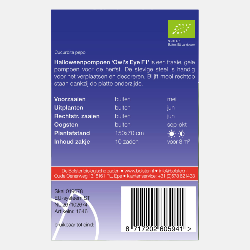 Halloweenpompoen 'Owls Eye F1' BIO