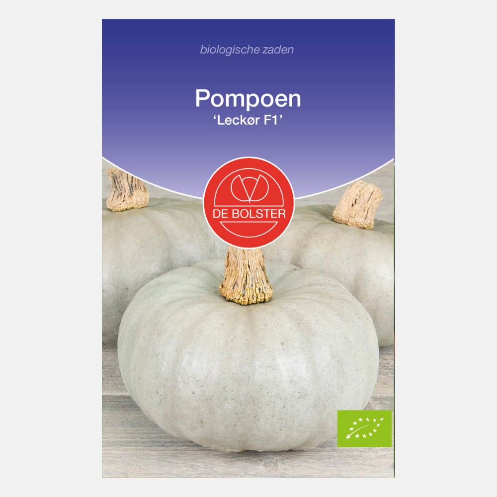Pompoen 'Leckør F1' BIO