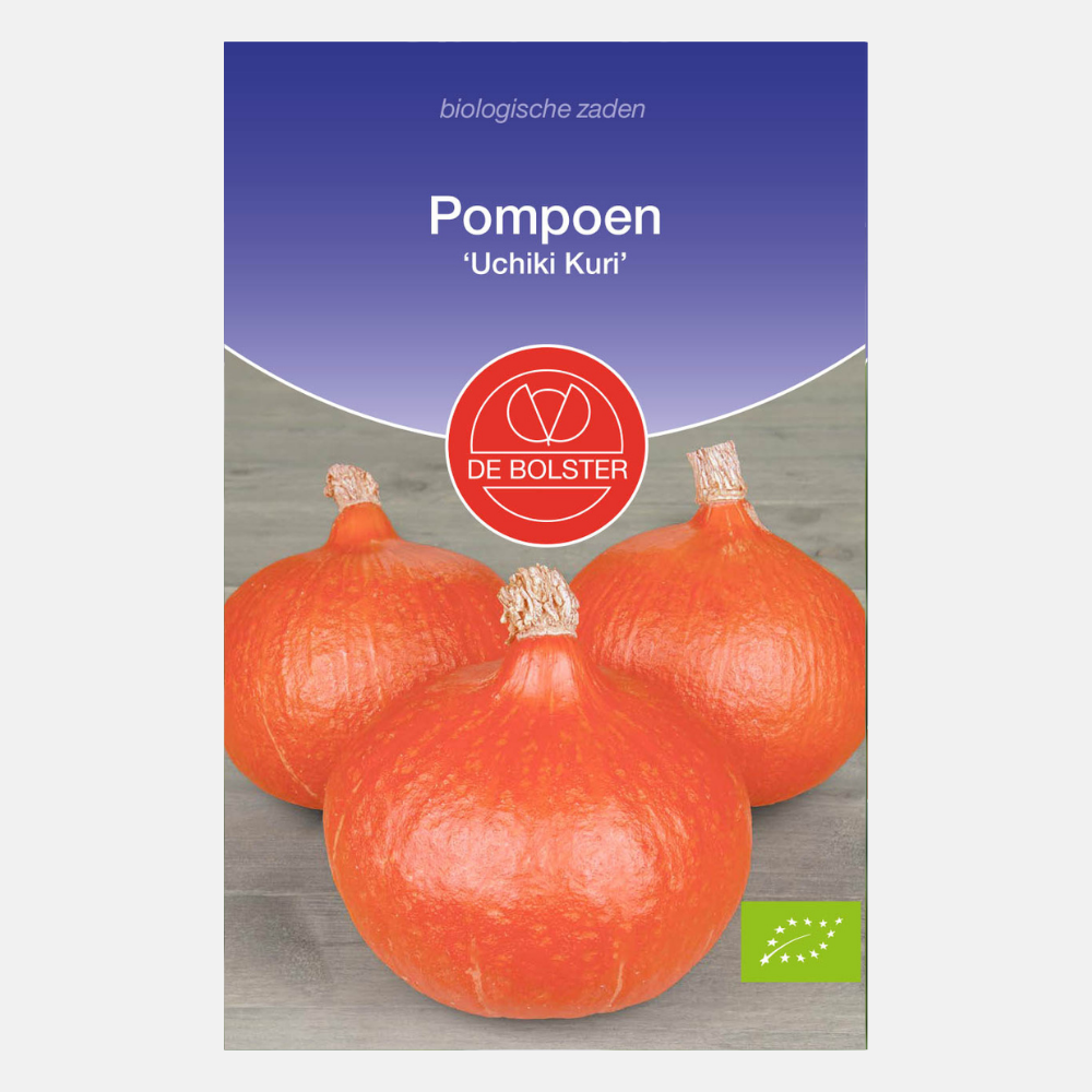 Pumpkin 'Uchiki Kuri' BIO