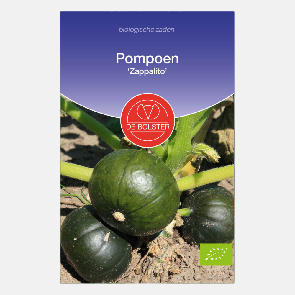 Pompoen 'Zappalito' BIO