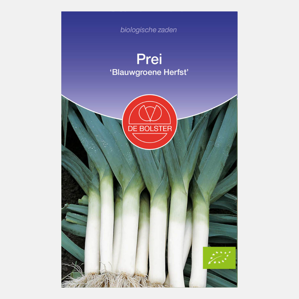 Leek 'Blue-green Autumn' BIO