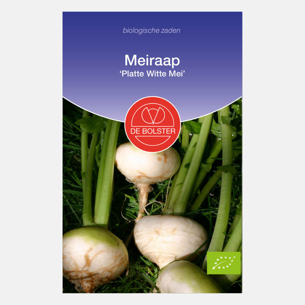 May turnip 'Platte Witte Mei' BIO
