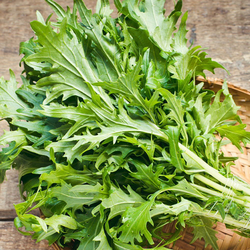 Turnip greens 'Mizuna' BIO