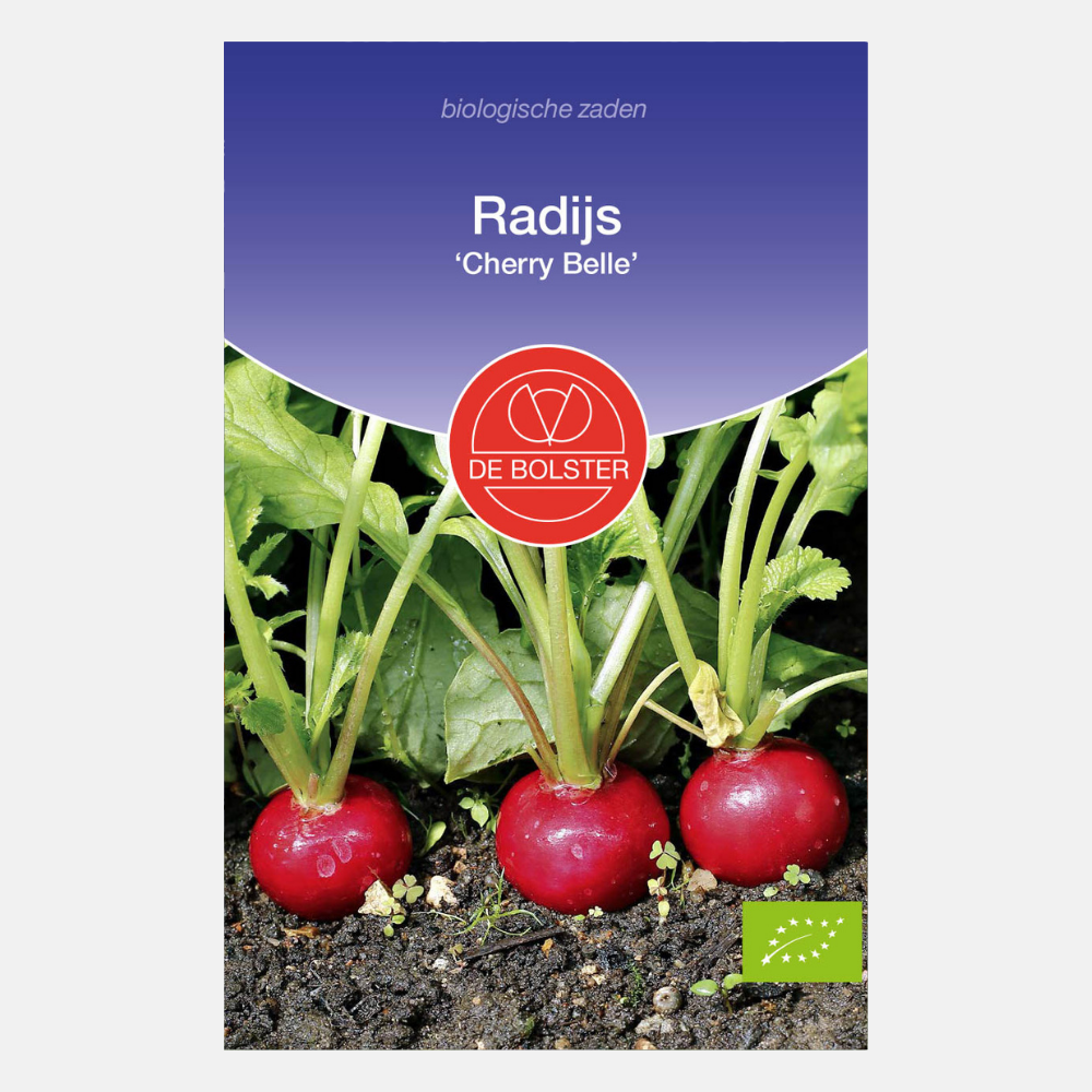 Radis 'Cherry Belle' BIO